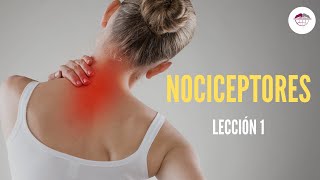 1 NOCICEPTORES FISIOLOGÍA DEL DOLOR [upl. by Doerrer]