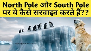 North Pole Aur South Pole in Earth  NatGeo [upl. by Foley]