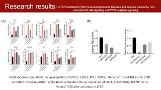 iMeta  LTBR as a immune checkpoint of tumorassociated macrophages for cancer immunotherapy [upl. by Llehsram]