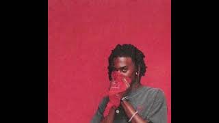 Playboi Carti  U Kan Do It Too HIGH QUALITY CHECK DESC [upl. by Yenruoj937]