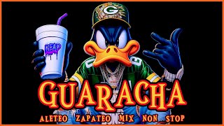 SET GUARACHA MIX 2024 🔥 ALETEO ZAPATEO Party Mix Non Stop 🔥 guaracha partymix remix aleteo mix [upl. by Neelcaj]