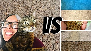 Cat litter I use vs other litters [upl. by Yvon]