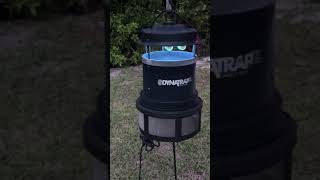 DynaTrap DT2000XL ExtraLarge Insect Trap Review [upl. by Nho]