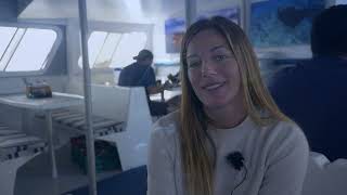 LiveAboard Socorro Island What to expect [upl. by Ahsytal321]