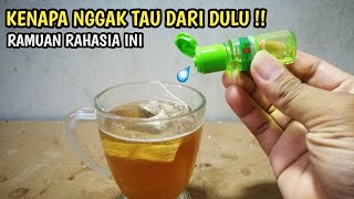 ILMU MAHAL  ternyata ini KHASIAT teh dicampur minyak kayu putih [upl. by Englis649]