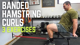 Band Hamstring Curl  Build Strong Hams without Weights [upl. by Ronaele758]