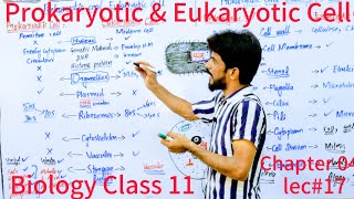 Prokaryotic amp Eukaryotic Cell  The Cell  Chapter 4  Biology Class 11  Lec17 [upl. by Coats]