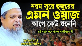 নরম সুরে হুজুরের এমন ওয়াজ কেউ আগে শুনেনি  Khaled Saifullah Ayubi New Waz। খালেদ সাইফুল্লাহ আইয়ুবী [upl. by Nileak]