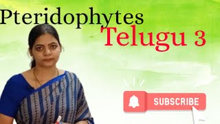 Plant kingdom Pteridophytes in telugul Class 11 NCERT Biology l LATHA AKULA Biology Tutorials l [upl. by Rotciv111]