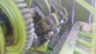 claas baler markant 55 [upl. by Anerdna]