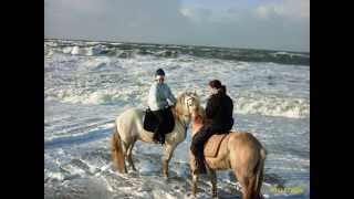 gut Pferde Reiten am Meer  Strandritte Sylt  geniale Erlebnisse  ohne Dressur amp Springen 2014 [upl. by Him]