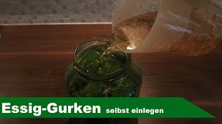 🥒 Gurken einlegen 🥒  EssigGurken selber machen  Lets cook [upl. by Eizus]