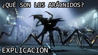 ¿Qué son los Arácnidos de Starship Troopers EXPLICACIÓN  Los Arácnidos y sus Variantes EXPLICADOS [upl. by Asilem344]