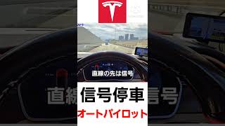 信号停車 テスラ オートパイロット 自動運転 レベル2 [upl. by Preuss]