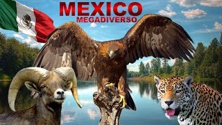 MEXICO MEGADIVERSO La Gran Riqueza Natural de México [upl. by Noelle]