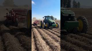 How potatoes are harvested farm potatoes potatoharvest harvest [upl. by Anaerda]