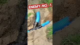 Master Buried Downspout Systems Pop Catch amp Clean DIY Friendly [upl. by Jarib]