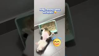 Nastroke na si Miming 🤦‍♀️😅 ReactionVideo TrendingVids FunnyVideo MsSungit momsofYT [upl. by Buckels]