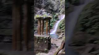 Jardín de Edward jamen XILITLA SAN LUIS POTOSI [upl. by Adriel]