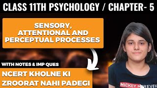 Sensory Attentional and Perceptual Processes Class 11 Psychology Chapter 5 One Shot Explanation [upl. by Hazmah]