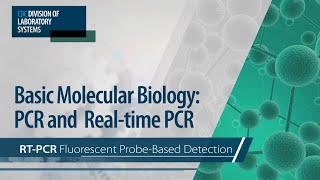 Basic Molecular Biology PCR and RealTime PCR – RTPCR Fluorescent ProbeBased Detection [upl. by Liza]