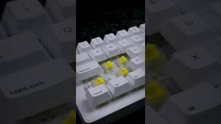 WhiteFox Eclipse Keyboard Sound Test with Gateron Yellow KS9 Pro [upl. by Jamaal]