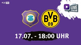 Testspiel FC Erzgebirge Aue  Borussia Dortmund [upl. by Barnie]