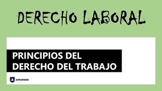 Principios del Derecho Laboral [upl. by Ashil]