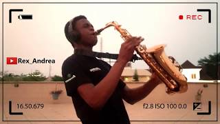 Forever Young  Jay Z Saxophone Cover [upl. by Flemming636]