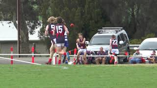 Mini Colts Preliminary Final Vs Mt Barker [upl. by Redla304]