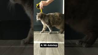 Top 10 Goobie Woobies 🤣 cat viralvideo [upl. by Baal479]