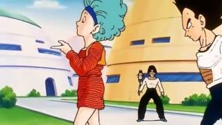 Vegeta Bulma Moments [upl. by Zaid810]