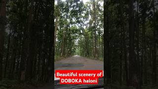 DOBOKA HALONI  Beautiful scenery of Assam naturelovers scenery nature naturephotography [upl. by Janus]