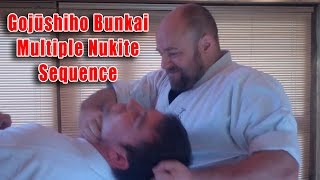 Practical Kata Bunkai Gojushiho Multiple Nukite Sequence [upl. by Friedly]