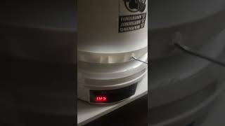 My Filament Dryer 3dprinting filamentdryer bambulaba1 [upl. by Notgnimer]