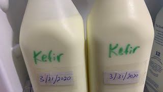 Super Easy Make Kefir from store bought Kefir [upl. by Sine]