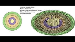 Social Disorganization Theory [upl. by Eiral]