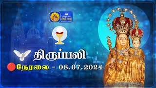 🔴 LIVE  Holy Mass in Tamil  08th July 2024  Annai Vailankanni Shrine  Besant Nagar Annai [upl. by Terle]