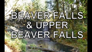 VISITED BEAVER FALLS TOP OF THE BEAVER FALLS amp UPPER BEAVER FALLS CLATSKANIE OREGON [upl. by Thomasine]