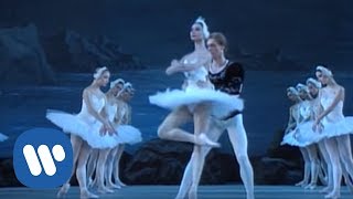 Tchaikovsky Swan Lake  The Kirov Ballet [upl. by Hoseia962]