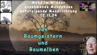 Mond Geflüster von Baumgeistern und Baumelben [upl. by Barnaby]