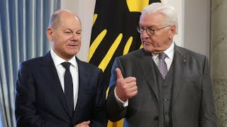 Steinmeier übt Kritik an der Ampelkoalition [upl. by Laing]