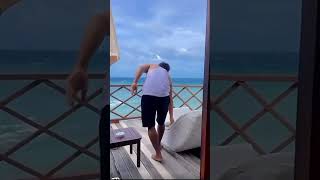 Affordable Maldives water villa maldives watervilla ytshorts shorts [upl. by Aihseyt]