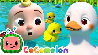 Five Little Ducks  Option 2  CoComelon Furry Friends  Animals for Kids [upl. by Ybok]