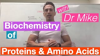 Proteins amp Amino Acids  Biochemistry [upl. by Lunsford387]