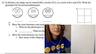 NonMendelian Genetics Test Practice Problems [upl. by Nancee]