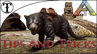 Fast Thylacoleo Taming Guide  ARK  Survival Evolved Tips and Tricks [upl. by Haizek603]