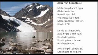 Ljudbok Nisse Holgersson kapitel 2 Akka från Kebnekaise [upl. by Aneelas94]