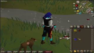 OSRS  Bulwark amp Blowpipe Kit Including new blowpipe special [upl. by Allen]