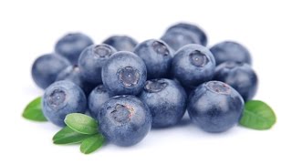 Super Food Blueberries prevent cancer heart disease amp more [upl. by Keffer753]